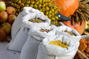 Czy można karmić króliki zbożami? Jakie zboże dla królików?